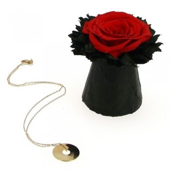 Pot Fleuri et Gourmette