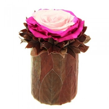 Belle Rose Stabilisée Fushia
